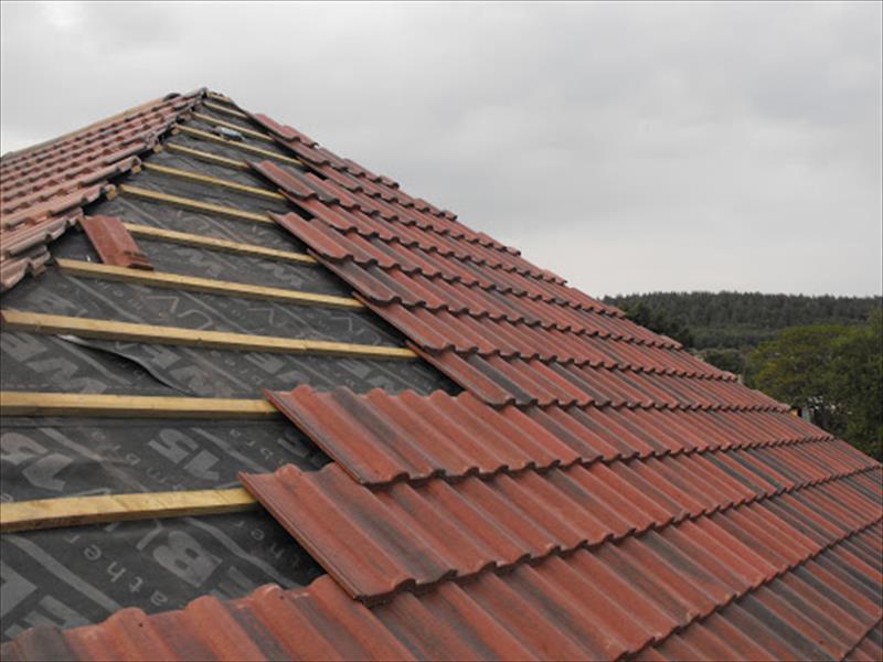 Roof Repair In Dublin